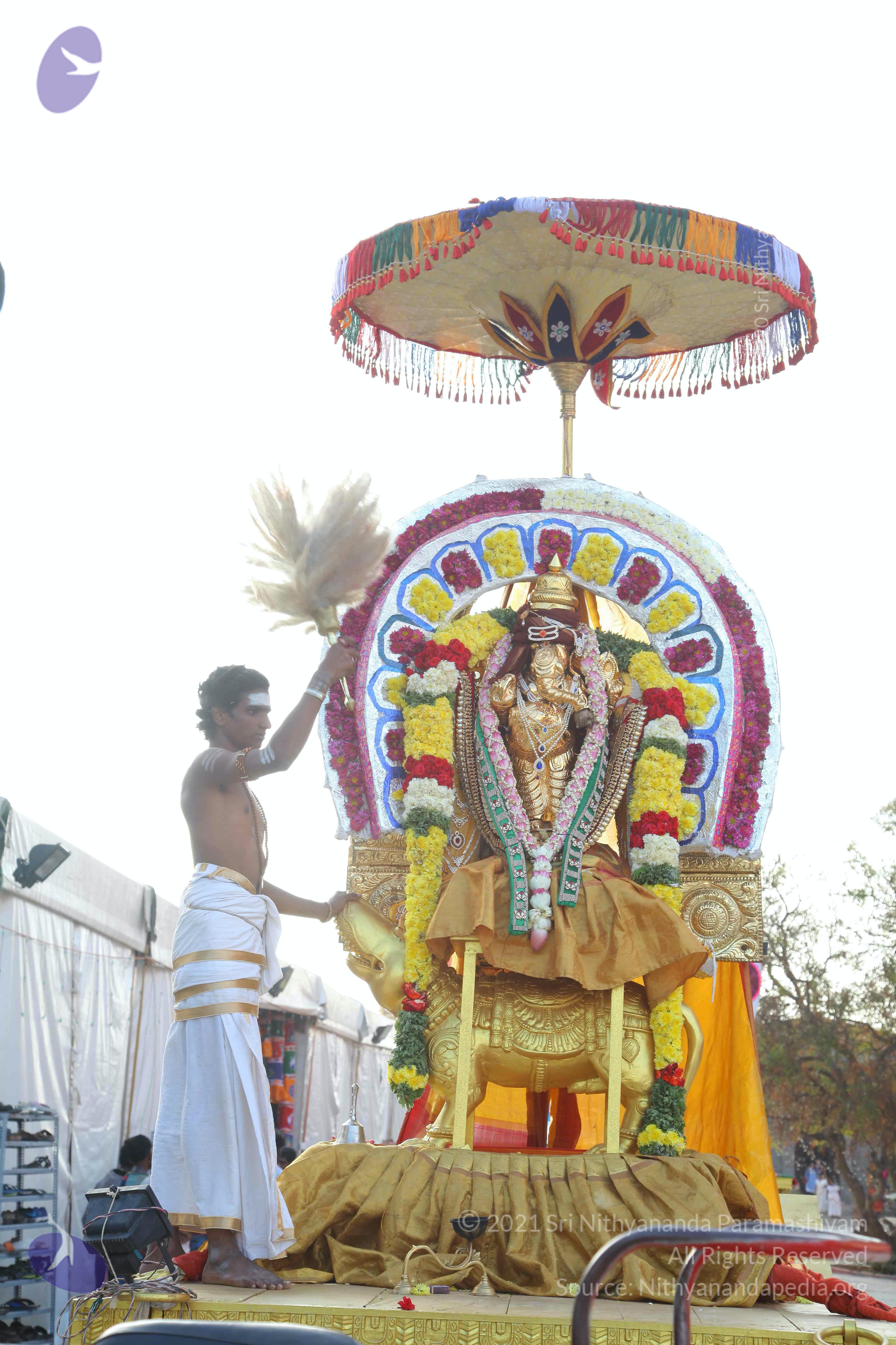 20161204_Photo_1055_IMG_3290_CMP_WM